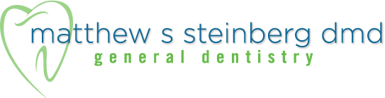 Dr. Matthew S. Steinberg